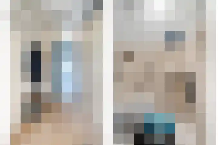 Meerzichtlaan 220 Zoetermeer thumbnail 17