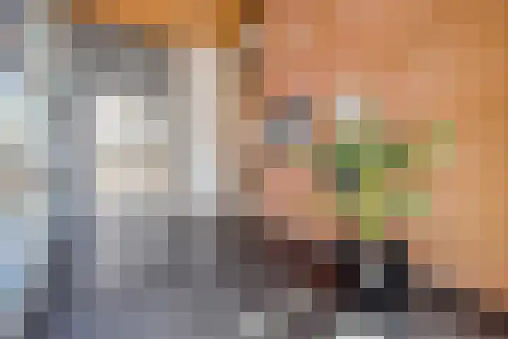 Meerzichtlaan 220 Zoetermeer thumbnail 19