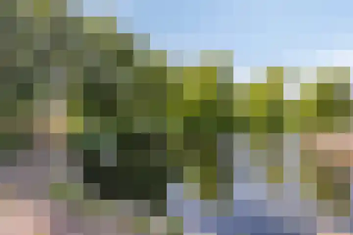 Meerzichtlaan 220 Zoetermeer thumbnail 20