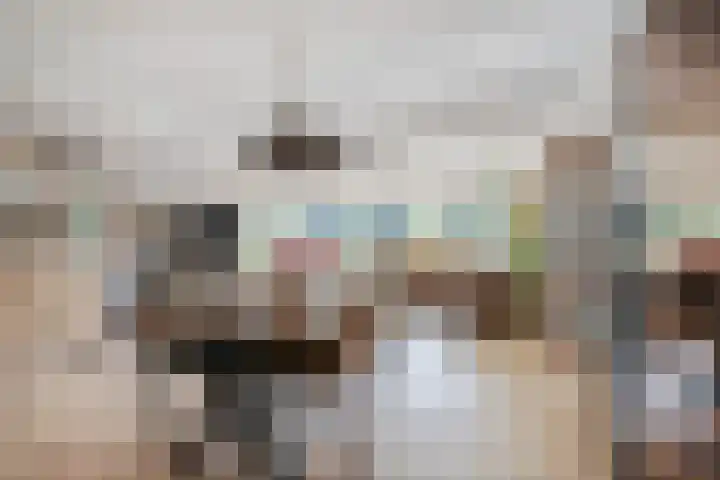 Meerzichtlaan 220 Zoetermeer thumbnail 6