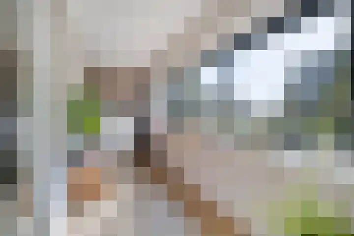 Meerzichtlaan 220 Zoetermeer thumbnail 7