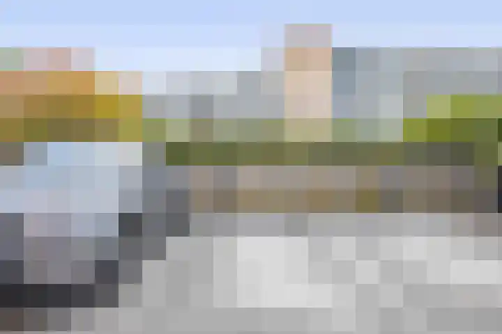 Meerzichtlaan 252 Zoetermeer thumbnail 4