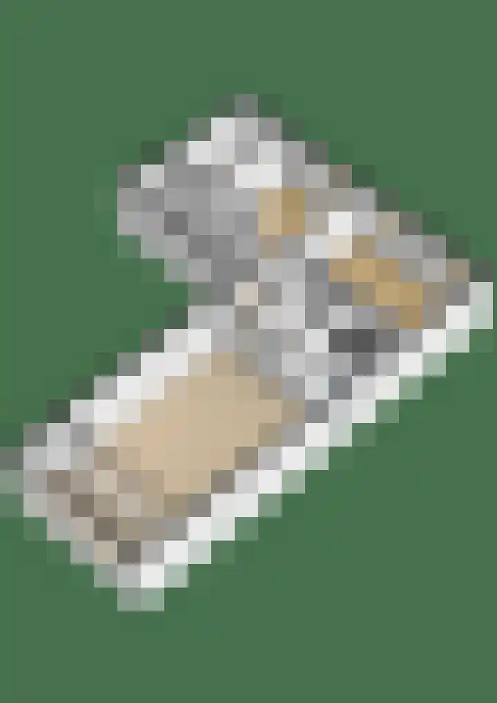 Meerzichtlaan 252 Zoetermeer thumbnail 43