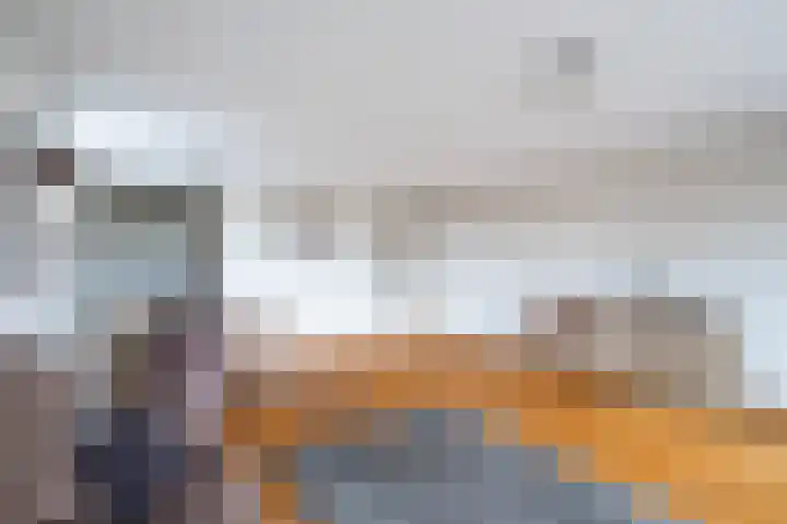 Meerzichtlaan 272 Zoetermeer thumbnail 19