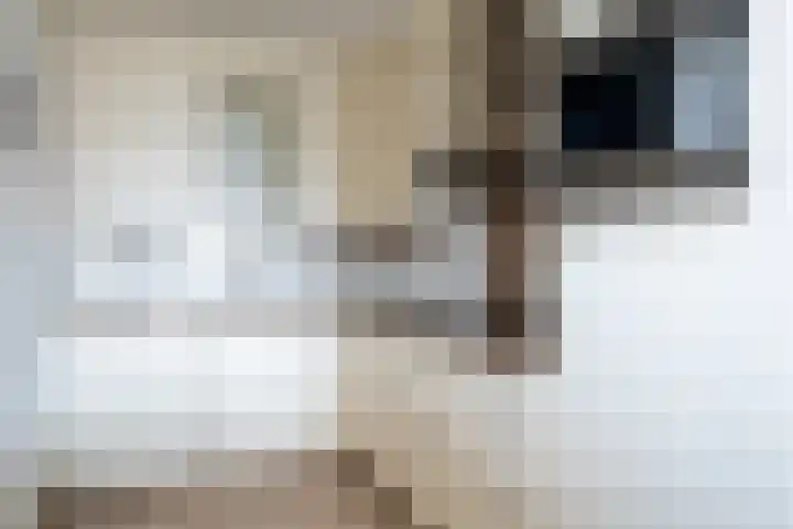 Meerzichtlaan 272 Zoetermeer thumbnail 21