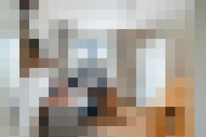 Meerzichtlaan 272 Zoetermeer thumbnail 29
