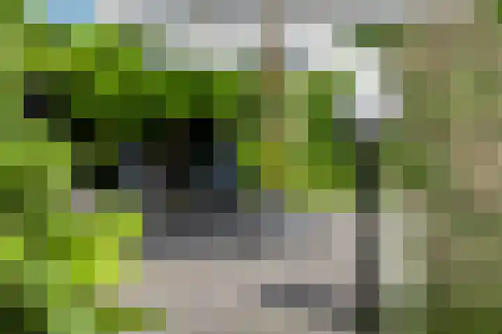 Meerzichtlaan 272 Zoetermeer thumbnail 32