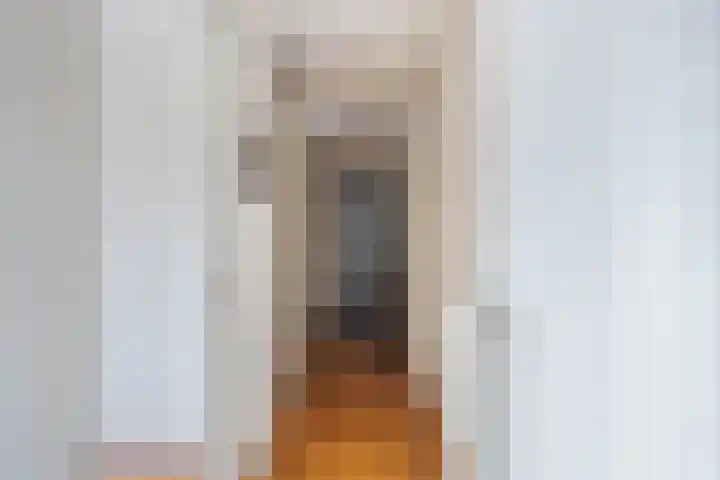 Meerzichtlaan 272 Zoetermeer thumbnail 32