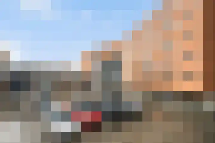 Meerzichtlaan 272 Zoetermeer thumbnail 39