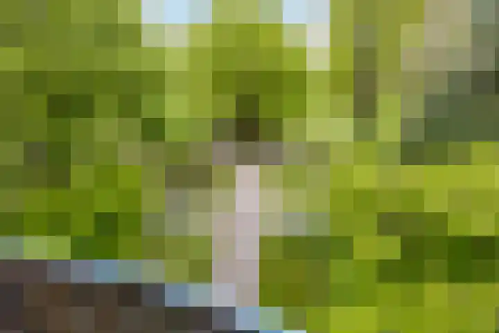 Meerzichtlaan 272 Zoetermeer thumbnail 9