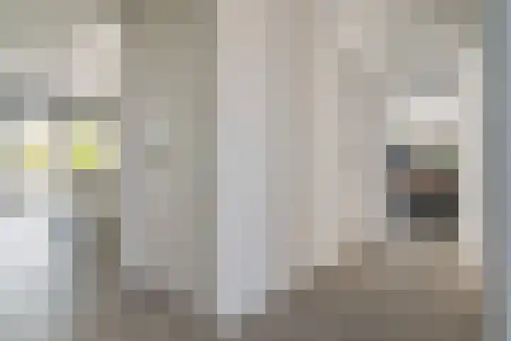 Meerzigt 5 Oranjewoud thumbnail 12