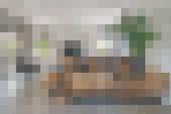 Meerzigt 5 Oranjewoud thumbnail 15