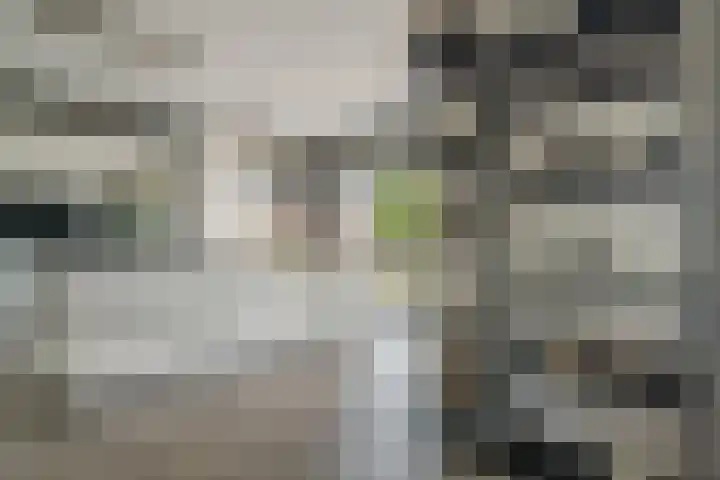 Meerzigt 5 Oranjewoud thumbnail 22