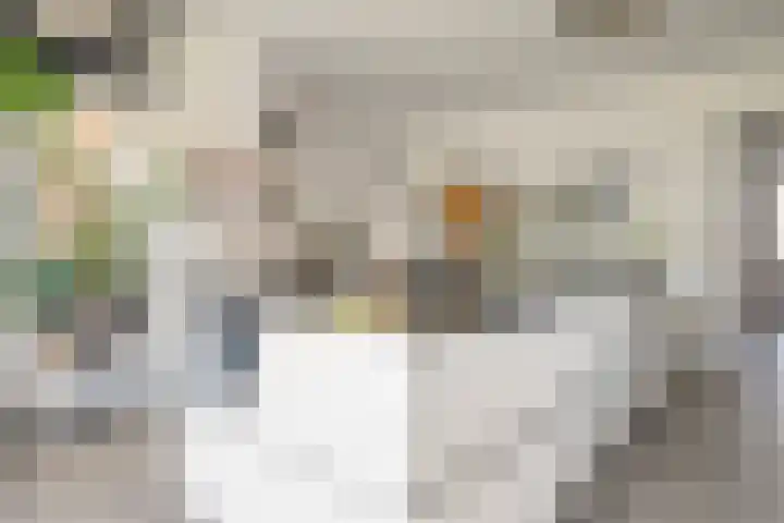 Meerzigt 5 Oranjewoud thumbnail 26