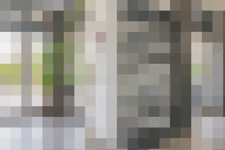 Meerzigt 5 Oranjewoud thumbnail 29