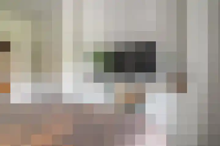 Meerzigt 5 Oranjewoud thumbnail 31