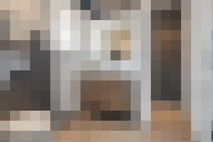 Meerzigt 5 Oranjewoud thumbnail 40