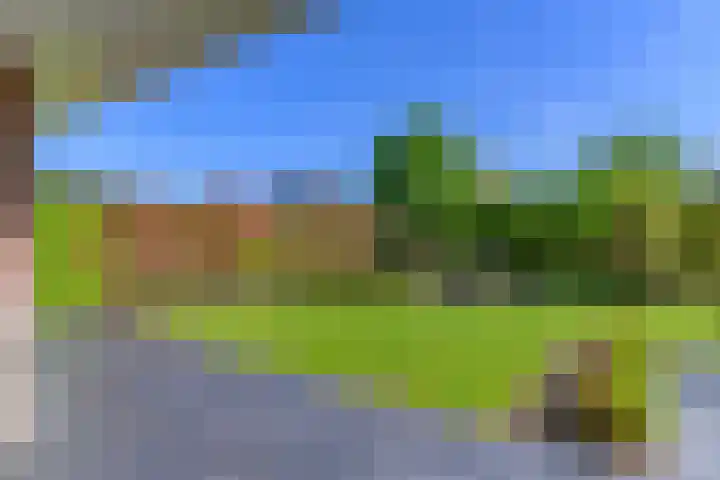 Meerzigt 5 Oranjewoud thumbnail 49