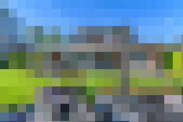 Meerzigt 5 Oranjewoud thumbnail 5