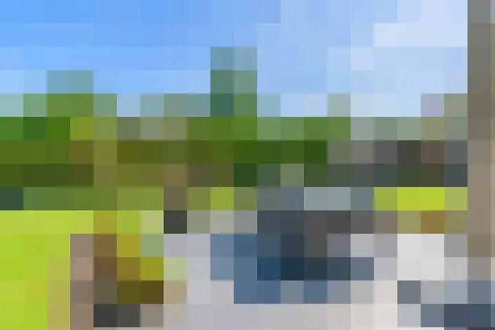 Meerzigt 5 Oranjewoud thumbnail 50