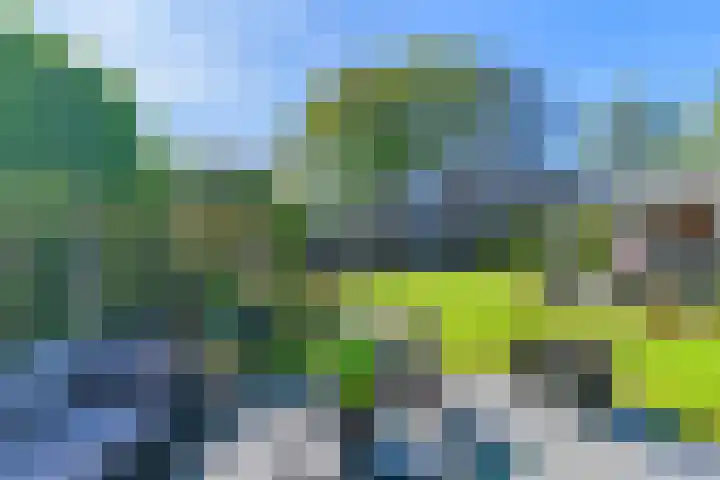 Meerzigt 5 Oranjewoud thumbnail 51
