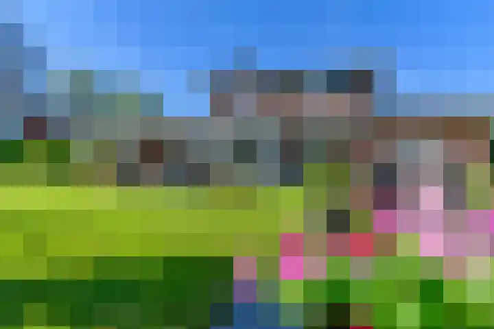 Meerzigt 5 Oranjewoud thumbnail 52