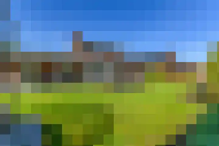 Meerzigt 5 Oranjewoud thumbnail 57