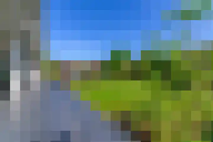 Meerzigt 5 Oranjewoud thumbnail 58