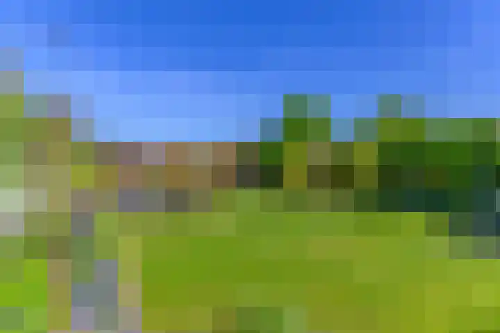 Meerzigt 5 Oranjewoud thumbnail 59