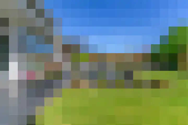 Meerzigt 5 Oranjewoud thumbnail 62