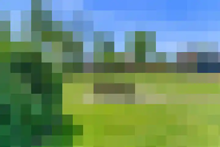 Meerzigt 5 Oranjewoud thumbnail 69