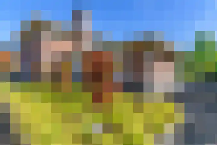 Meerzigt 5 Oranjewoud thumbnail 7