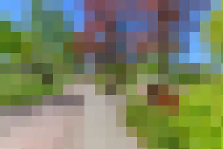 Meerzigt 5 Oranjewoud thumbnail 70