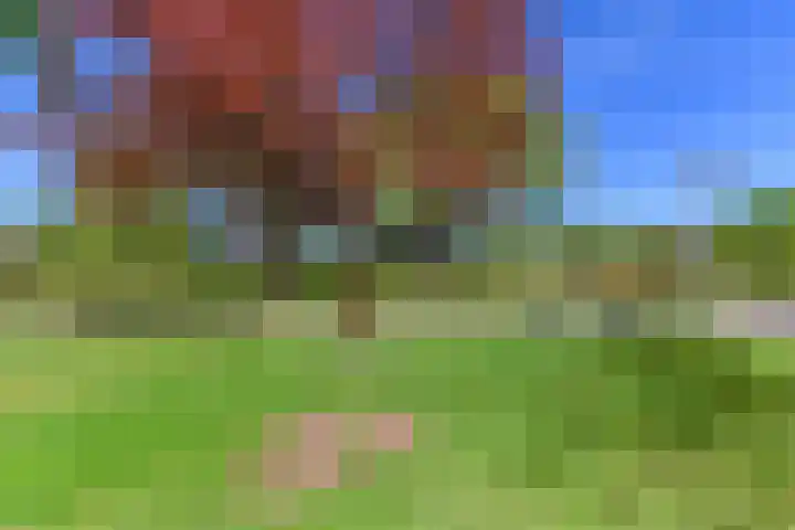 Meerzigt 5 Oranjewoud thumbnail 71