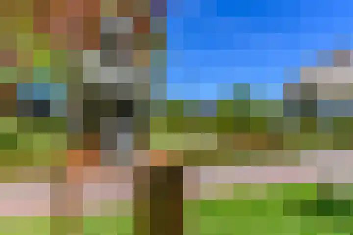 Meerzigt 5 Oranjewoud thumbnail 72