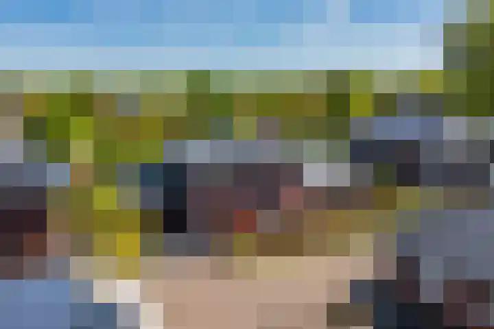 Meerzigt 5 Oranjewoud thumbnail 74