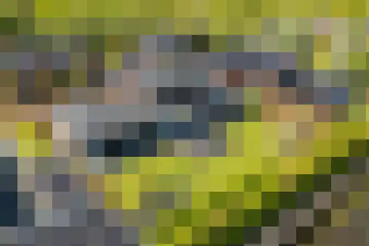 Meerzigt 5 Oranjewoud thumbnail 77