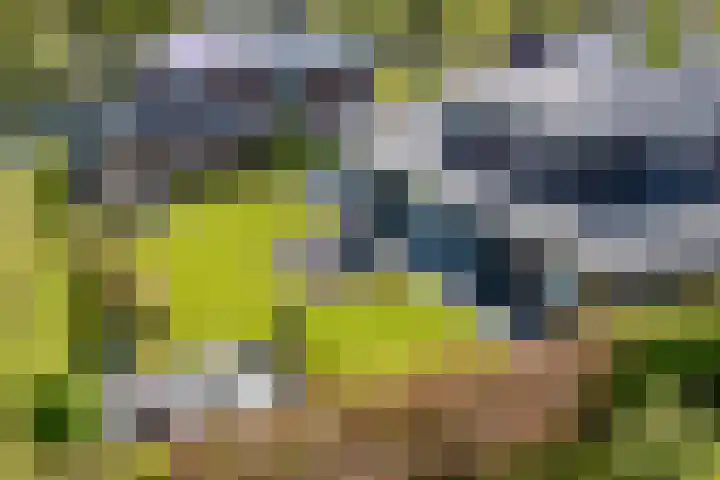 Meerzigt 5 Oranjewoud thumbnail 78