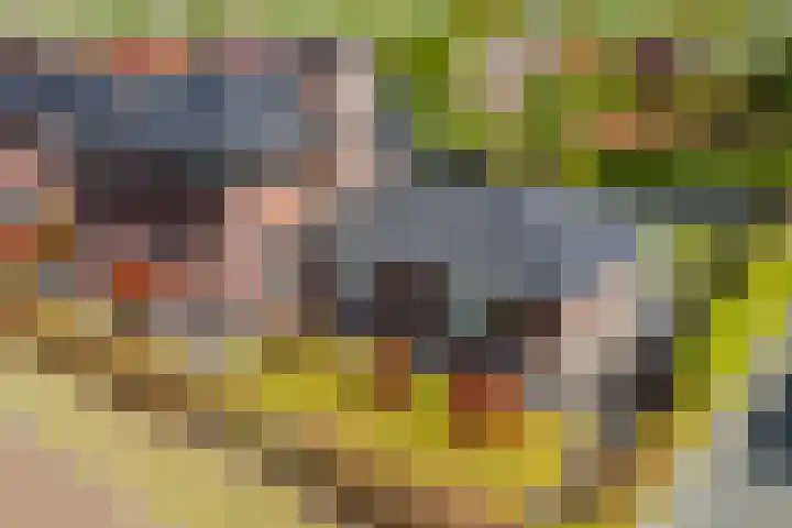 Meerzigt 5 Oranjewoud thumbnail 79