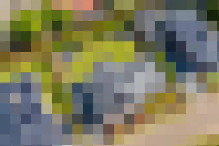 Meerzigt 5 Oranjewoud thumbnail 80