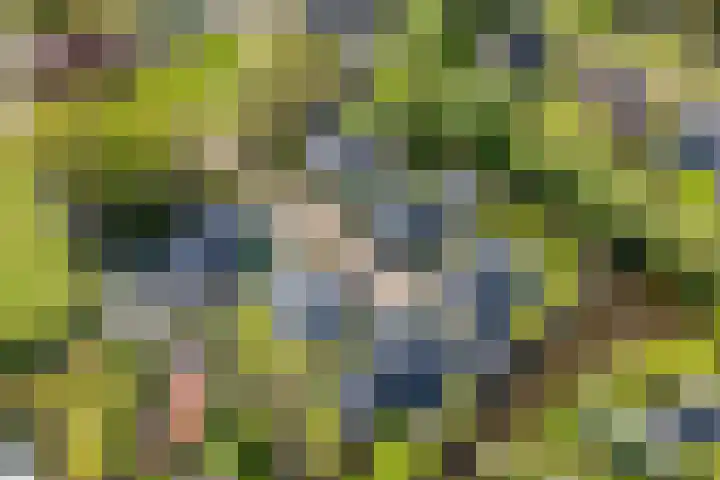Meerzigt 5 Oranjewoud thumbnail 81