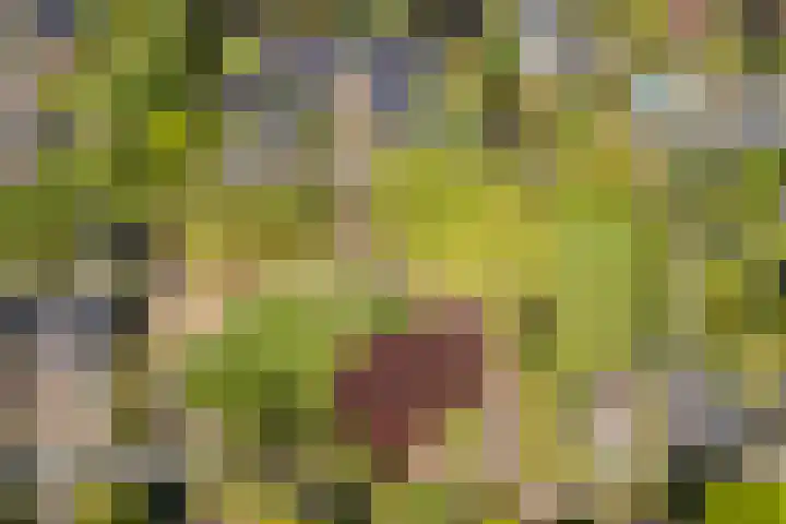 Meerzigt 5 Oranjewoud thumbnail 82