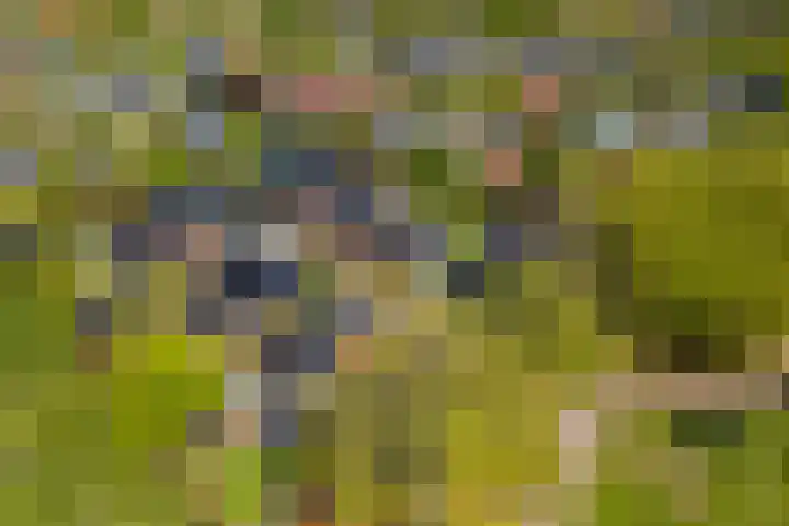 Meerzigt 5 Oranjewoud thumbnail 83