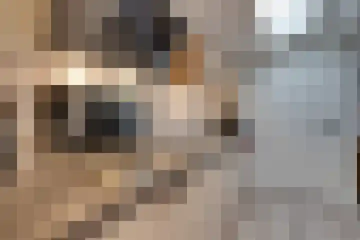 Meerzijde 11 Volendam thumbnail 20