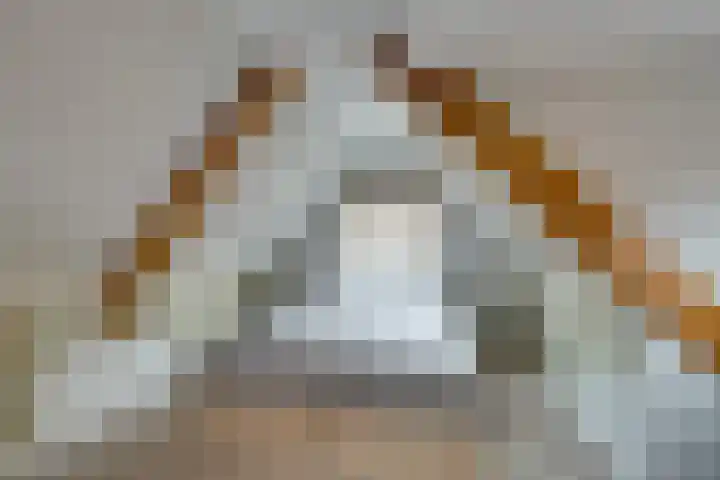 Meerzijde 11 Volendam thumbnail 31