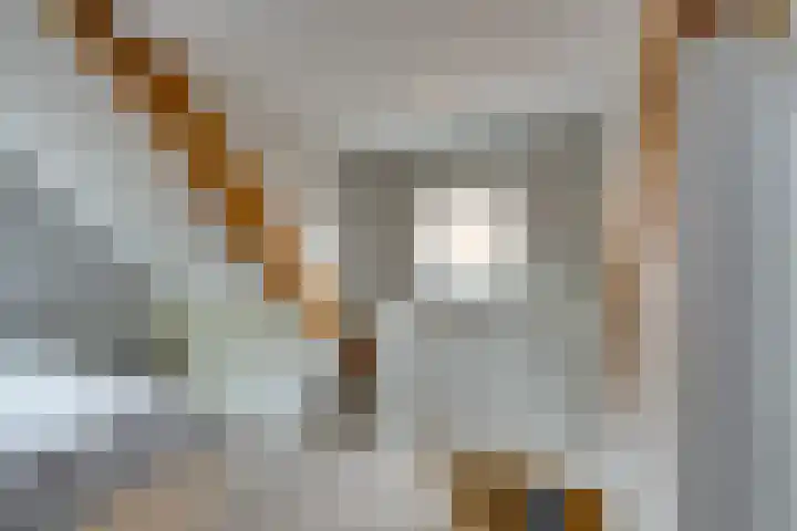 Meerzijde 11 Volendam thumbnail 33