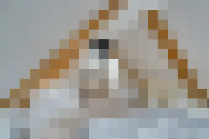 Meerzijde 11 Volendam thumbnail 35