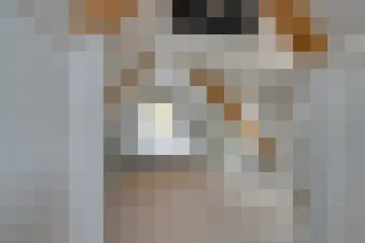 Meerzijde 11 Volendam thumbnail 37