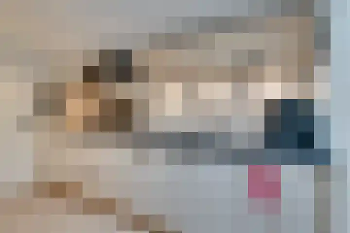 Meerzijde 11 Volendam thumbnail 4