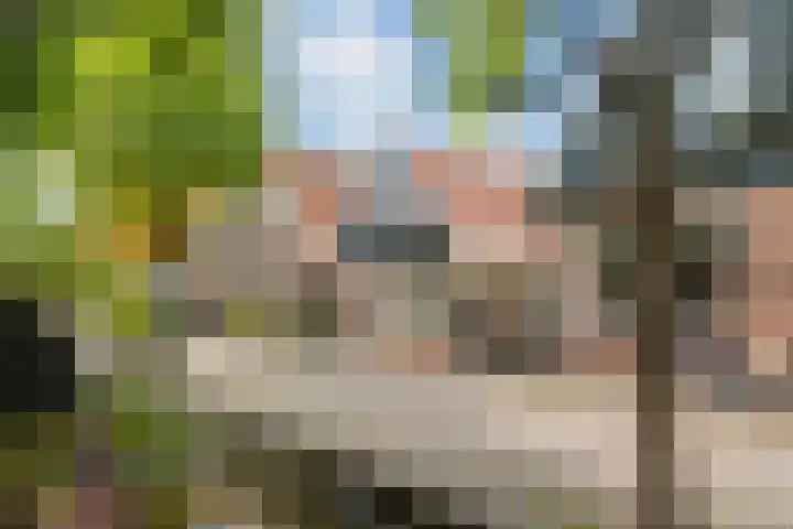 Meerzijde 11 Volendam thumbnail 6